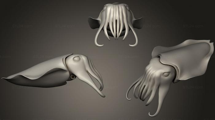 Animal figurines (Cuttlefish, STKJ_0861) 3D models for cnc